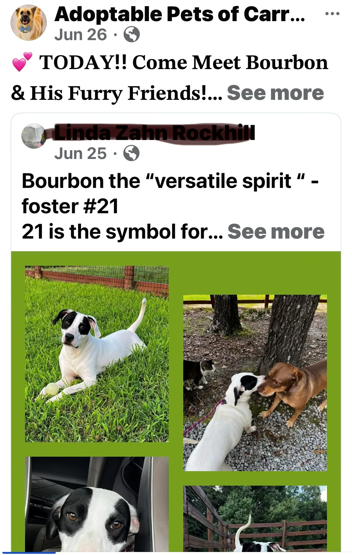 Bourbons online feature