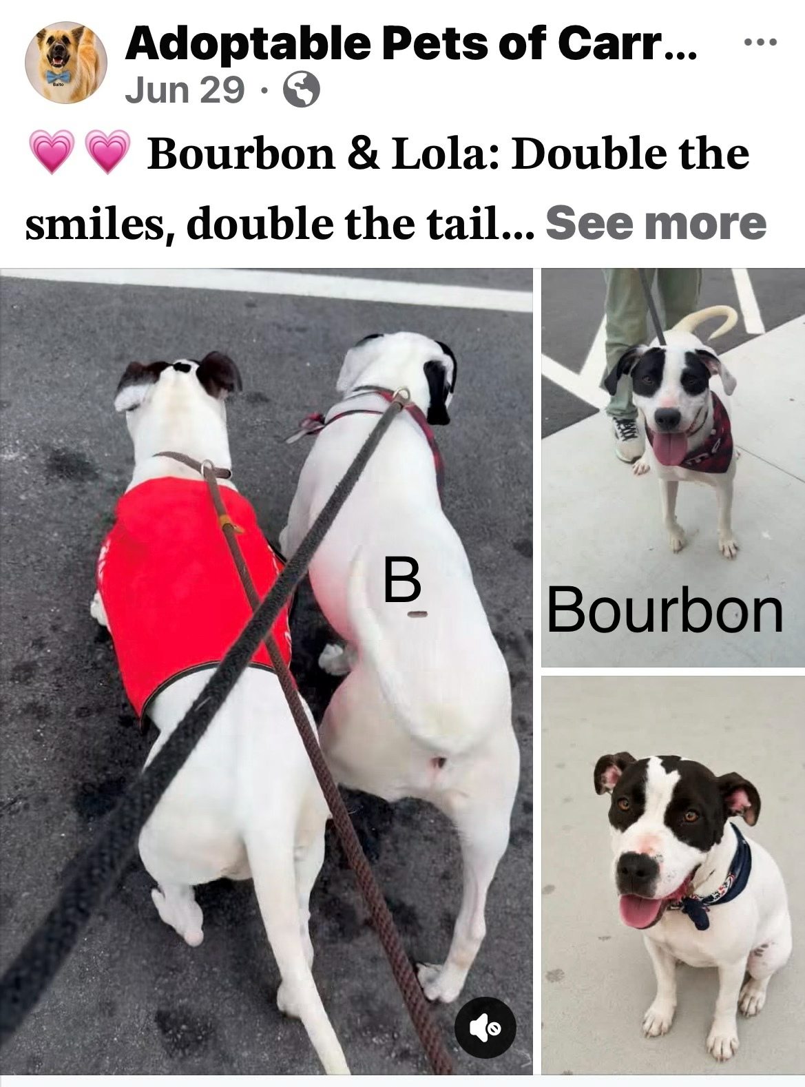 Another online feature of Bourbon