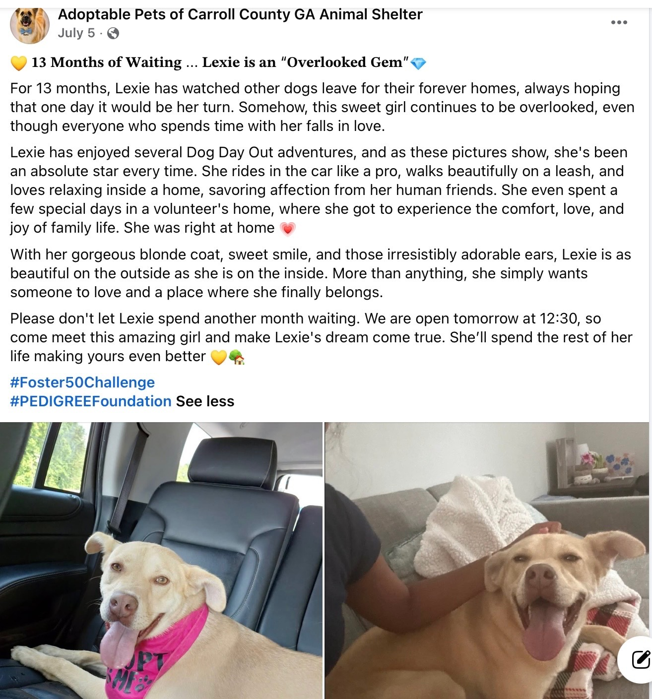 Lexie's facebook listing sharing her adoptability