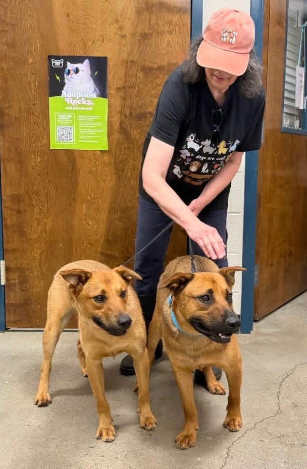 Bear and Summer standing at their new owners feet