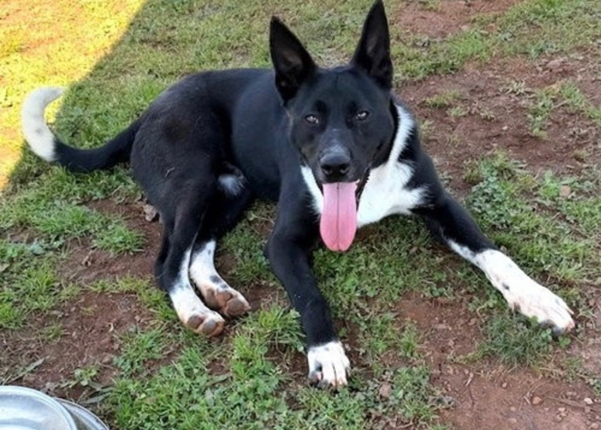 Ferdinand lying on the ground smiling