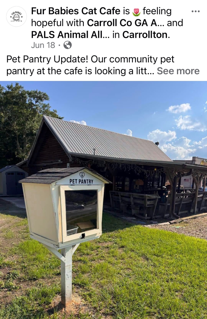 Fur Babies Cat Cafe