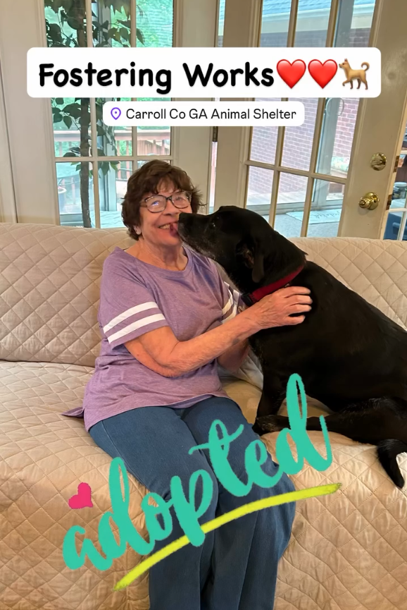 Hattie with her new owner