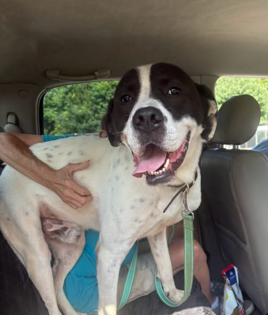 Klondike enjoying his new family